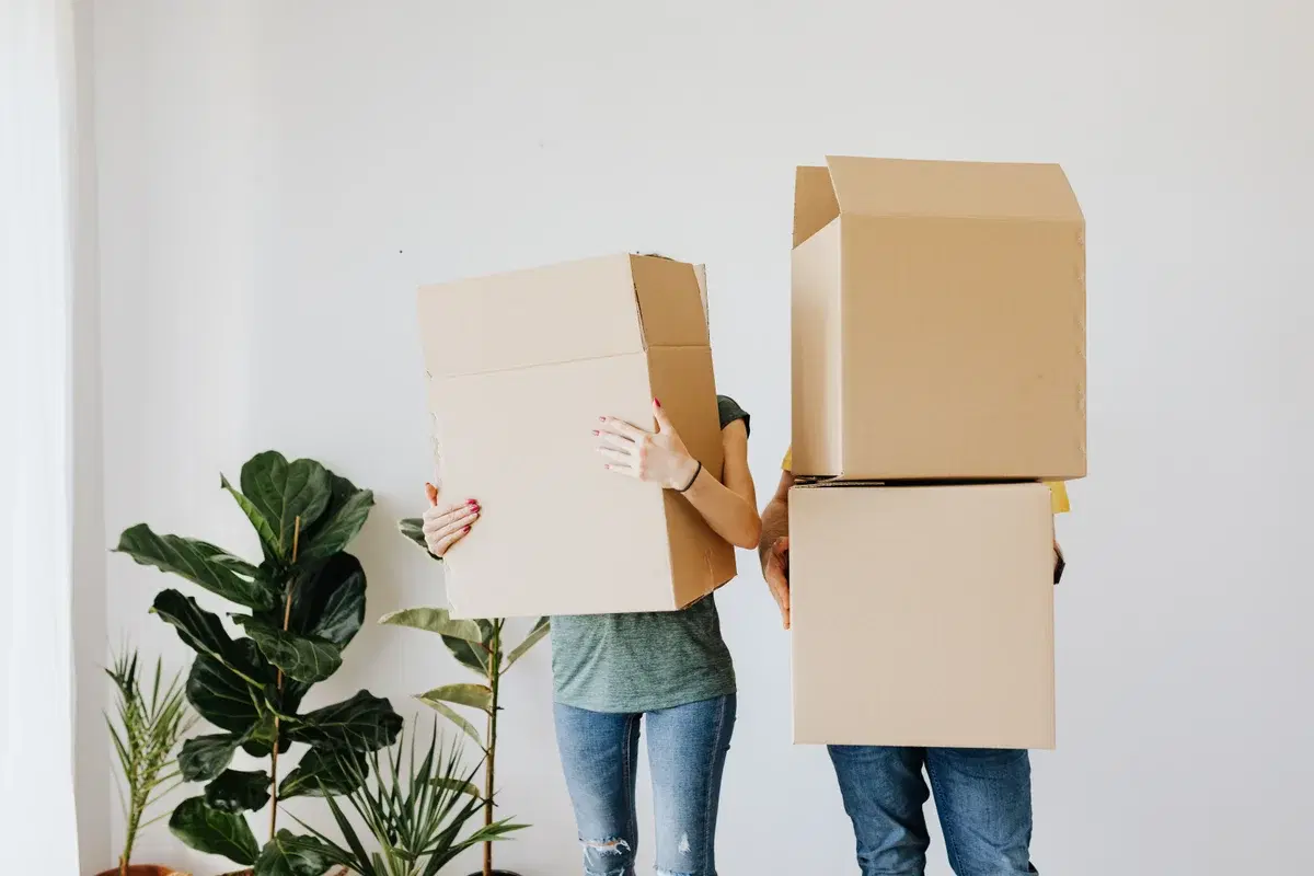 A viable solution for all perennial package delivery problems